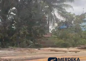 Marak Peredaran Kayu Log Ilegal Jenis Tengkawang Melalui Sungai Menggunakan Rakit, APH Diminta Tegas..!!