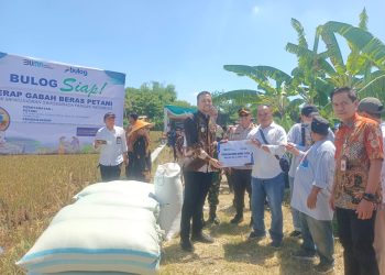 Benny Indra Ardhianto Hadiri Panen Raya Padi Serentak Di Ceper Klaten