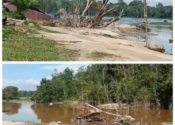 Baru Berapa Bulan Ditertibkan APH Setempat, Aktivitas PETI di Desa Kenyauk Makin Mengglia Maraknya