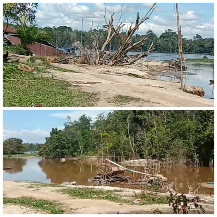 Baru Berapa Bulan Ditertibkan APH Setempat, Aktivitas PETI di Desa Kenyauk Makin Mengglia Maraknya