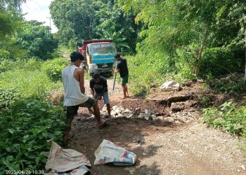 Sopir dan Kondektur Gotong Royong Benahi Jalan Rusak Untuk Dilalui Kendaraan Pada Ruas Jalan Provinsi Maluku