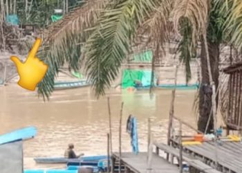 Aktivitas PETI Kembali Menjamur, Oknum Kades Nanga Serian Bungkam