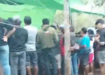 Kembali Marak Aktivitas Sabung Ayam di Desa Lengkenat Sepauk, Diduga di Backingi