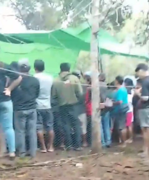 Kembali Marak Aktivitas Sabung Ayam di Desa Lengkenat Sepauk, Diduga di Backingi