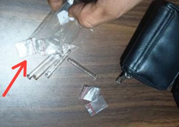 4 Perempuan Pekerja Kafe Tertangkap Bawa Alat Hisap Sabu, Bebas Bersyarat, Warga Merasa Aneh