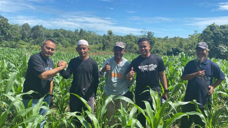 Kapolres Melawi Pantau Progres Perkembangan Jagung Poktan Subur Makmur