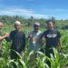 Kapolres Melawi Pantau Progres Perkembangan Jagung Poktan Subur Makmur