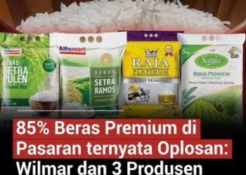 212 Merek Beras Diduga Oplosan, Konsumen Dirugikan hingga Rp100 Triliun