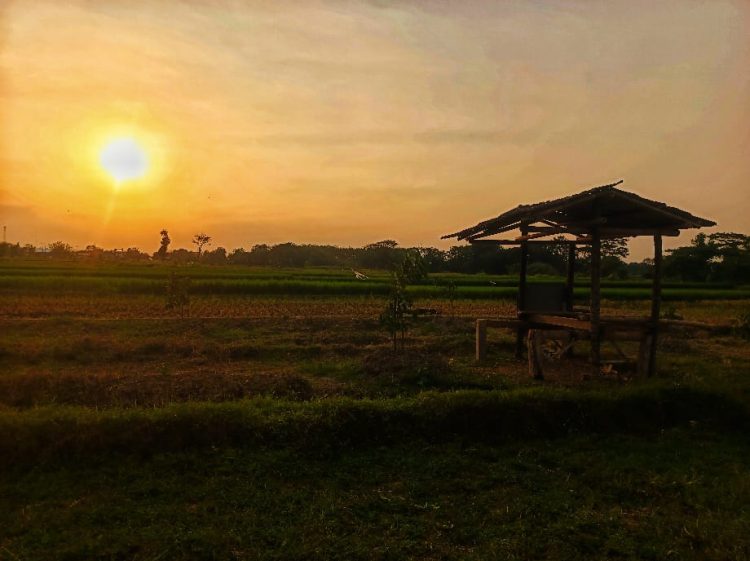 Menggagas Proyeksi Desa Wisata Tjokro Kedepan