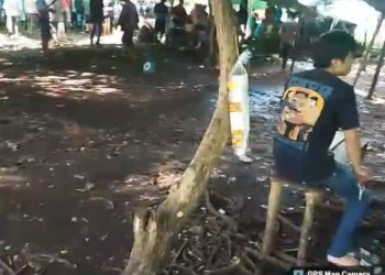 Polda Kalbar Diminta Tindak Tegas Kelang Sabung Ayam di Desa Wajok, Kec. Jongkat — Diduga Bebas dan Kebal Hukum