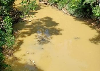 Warga Seberuang Keluhkan Air Sungai Keruh akibat Aktivitas PETI, Diminta Pihak Terkait Tindak Tegas