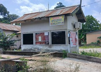 Terungkap! Ram Sawit di Sekadau Diduga Jadi Penampung Buah Curian, Pengakuan Pelaku Bikin Geger