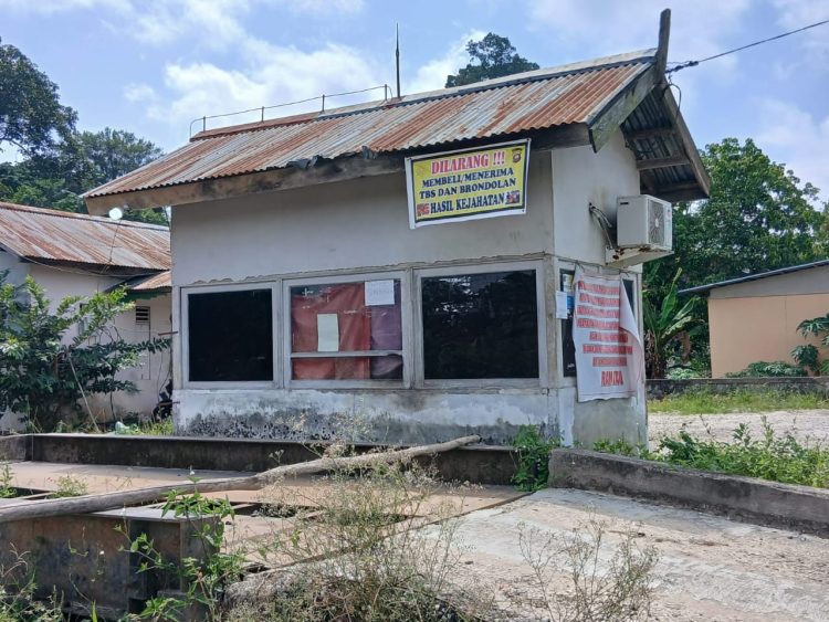 Terungkap! Ram Sawit di Sekadau Diduga Jadi Penampung Buah Curian, Pengakuan Pelaku Bikin Geger