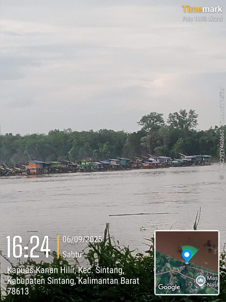 Tambang Emas Ilegal Menggila di Sintang Kebal Hukum Sungai Kapuas Rusak, Aparat Diduga Tutup Mata