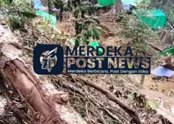 Aktivitas Penambang Emas Tanpa Izin di Desa Segitak Diduga Rambah Hutan Lindung