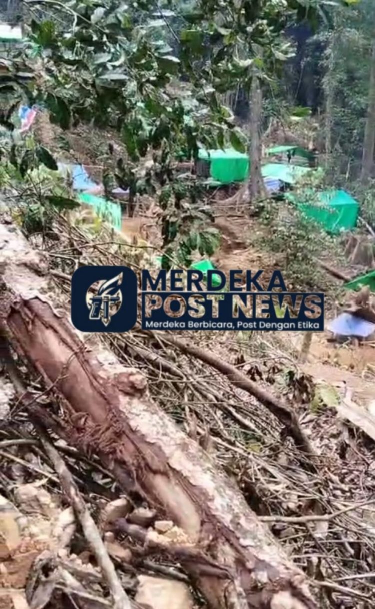Aktivitas Penambang Emas Tanpa Izin di Desa Segitak Diduga Rambah Hutan Lindung
