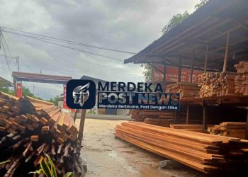 Toko Kayu Milik Bos Ade di Sintang Diduga Jual Beli Kayu Ilegal, Pihak Terkait Diminta Usut Tuntas