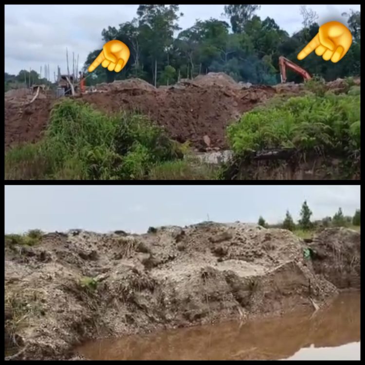 PETI Kembali Menggila Hingga Kerahkan Alat Berat, Warga Minta Kapolda Kalbar Turun Tangan!