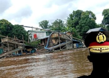 PETI Ilegal Menggila di Sanggau, Aparat Diduga Kecipratan Uang Setoran