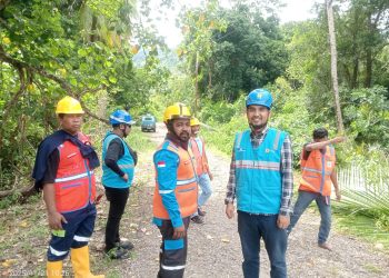 Manajer ULP PLN Moa : Mohon Tanaman Dekat Jaringan Listrik Bisa Ditebang