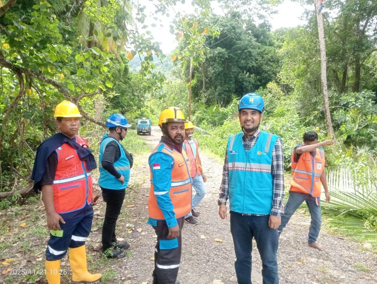 Manajer ULP PLN Moa : Mohon Tanaman Dekat Jaringan Listrik Bisa Ditebang