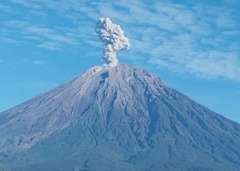 Gunung Semeru Meletus, Ratusan Warga Dievakuasi dan Aktivitas Pendakian Ditutup Sementara