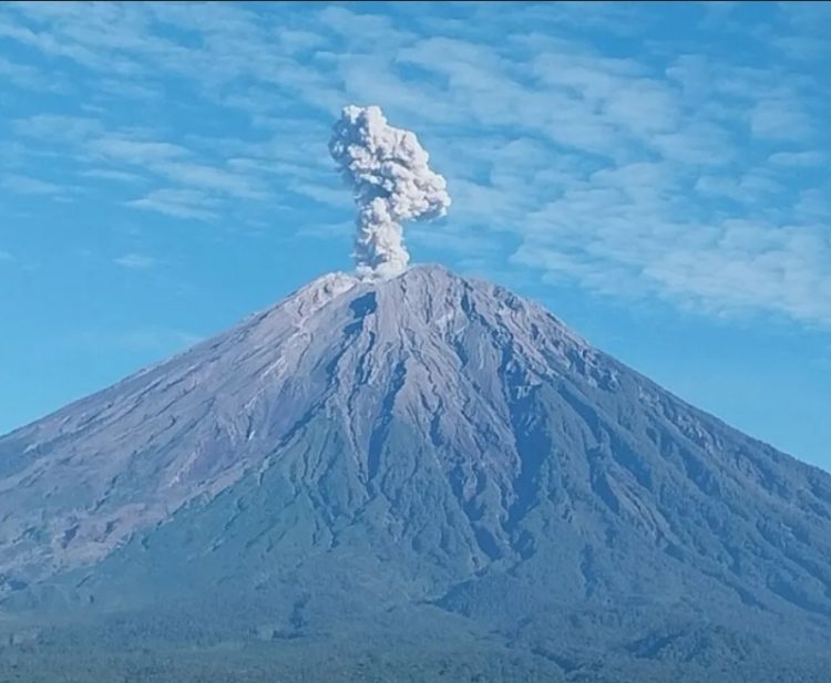 Gunung Semeru Meletus, Ratusan Warga Dievakuasi dan Aktivitas Pendakian Ditutup Sementara
