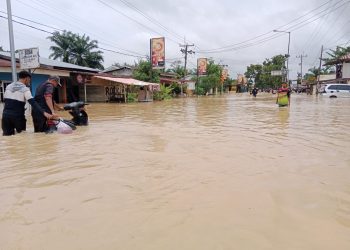 Menteri LH : Delapan Perusahaan Diduga Perparah Banjir di Sumut