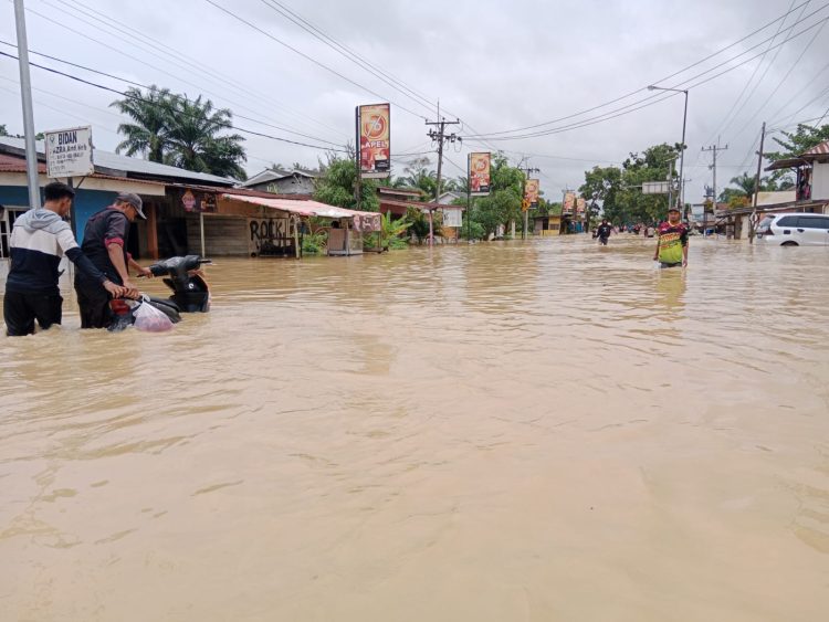 Menteri LH : Delapan Perusahaan Diduga Perparah Banjir di Sumut