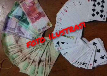 Dari Sabung Ayam ke Jūď! Bok Remi Beromzet Puluhan Juta Marak di Sekedau Semitau