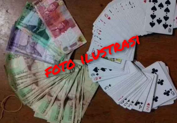 Dari Sabung Ayam ke Jūď! Bok Remi Beromzet Puluhan Juta Marak di Sekedau Semitau