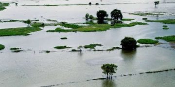 Banjir Rendam 5.168 Hektare Sawah di Bekasi, Potensi Gagal Panen Mengintai