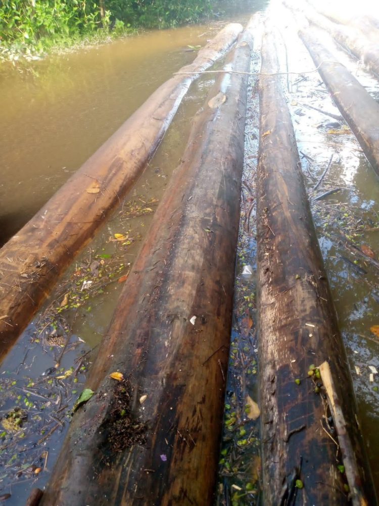 Kayu Gelondongan Tak Bertuan, Diduga Kuat Tanpa Dokumen Sah Marak di DAS Kapuas Sintang, Diminta APH Usut Tuntas