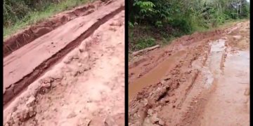 Warga Bedayan–Libau, Sepauk, Sintang, Keluhkan Jalan Rusak Parah Saat Musim Hujan, Berulang Kali Diusulkan ke Pemda Namun Belum Ada Respons