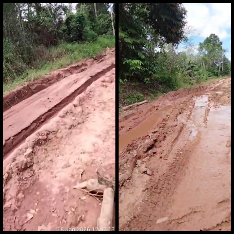 Warga Bedayan–Libau, Sepauk, Sintang, Keluhkan Jalan Rusak Parah Saat Musim Hujan, Berulang Kali Diusulkan ke Pemda Namun Belum Ada Respons