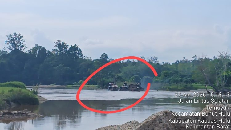 Pertambangan Emas Tanpa Izin (PETI) Bebas Beroperasi di Temuyuk Bunut Hulu, Air Sungai Keruh, Warga Desak Aparat Tindak Tegas