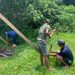 Kepedulian Babinsa Embaloh Hulu, Bantu Warga Gotong Royong Perbaiki Jembatan Surau Desa Ulak Pauk