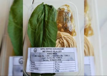 Menu MBG dari SPPG Depok Darangdan Viral di Sosial Media 