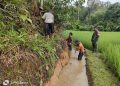 Guna Mendukung Kelancaran Air Untuk Persawahan”, Babinsa Koramil 1206-14/Hulu Gurung Bersama Masyarakat Gotong Royong Bersihkan Parit