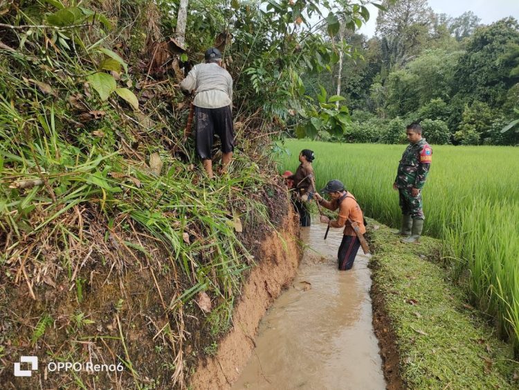 Guna Mendukung Kelancaran Air Untuk Persawahan”, Babinsa Koramil 1206-14/Hulu Gurung Bersama Masyarakat Gotong Royong Bersihkan Parit