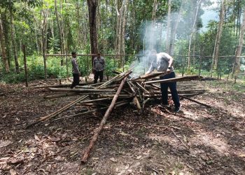 Kapolsek Seberuang Beserta Personil Bongkar Sarang Judi Sabung Ayam di Sebalang Pala Kota, Respons Cepat Aduan Warga dan Media Sosial