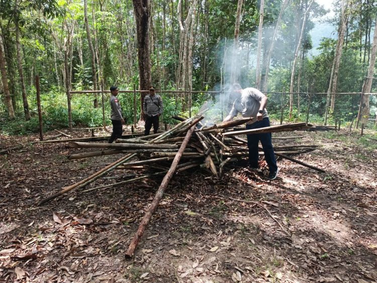 Kapolsek Seberuang Beserta Personil Bongkar Sarang Judi Sabung Ayam di Sebalang Pala Kota, Respons Cepat Aduan Warga dan Media Sosial
