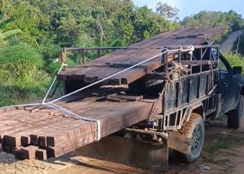 Peredaran Kayu Ulin Ilegal Marak di Nanga Tebidah, Kayan Hulu — Kinerja Aparat Dipertanyakan