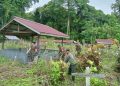 Semangat Bergotong Royong, Babinsa Putussibau Utara Bersama Masyarakat Bersihkan TPU Desa Kedamin Darat