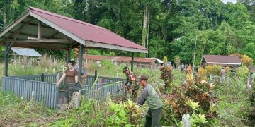 Semangat Bergotong Royong, Babinsa Putussibau Utara Bersama Masyarakat Bersihkan TPU Desa Kedamin Darat