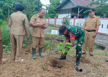 Bentuk Kepedulian Akan Pelestarian Lingkungan dan Penghijauan, Babinsa Embaloh Hulu Bersama SDN 02 Banua Martinus Lakukan Penanaman Pohon