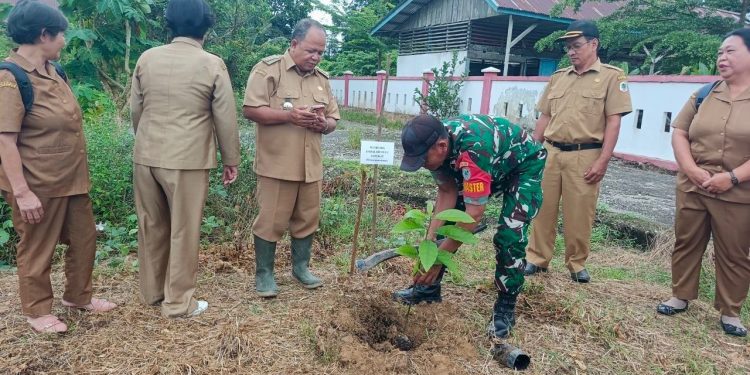 Bentuk Kepedulian Akan Pelestarian Lingkungan dan Penghijauan, Babinsa Embaloh Hulu Bersama SDN 02 Banua Martinus Lakukan Penanaman Pohon