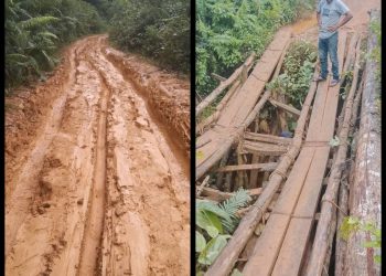 Jalan Dan Jembatan Desa Balai Agas Hancur Total, Dimana Kades, Dewan dan Bupati Melawi..?Kemanakah Perginya Anggaran Pembangunan