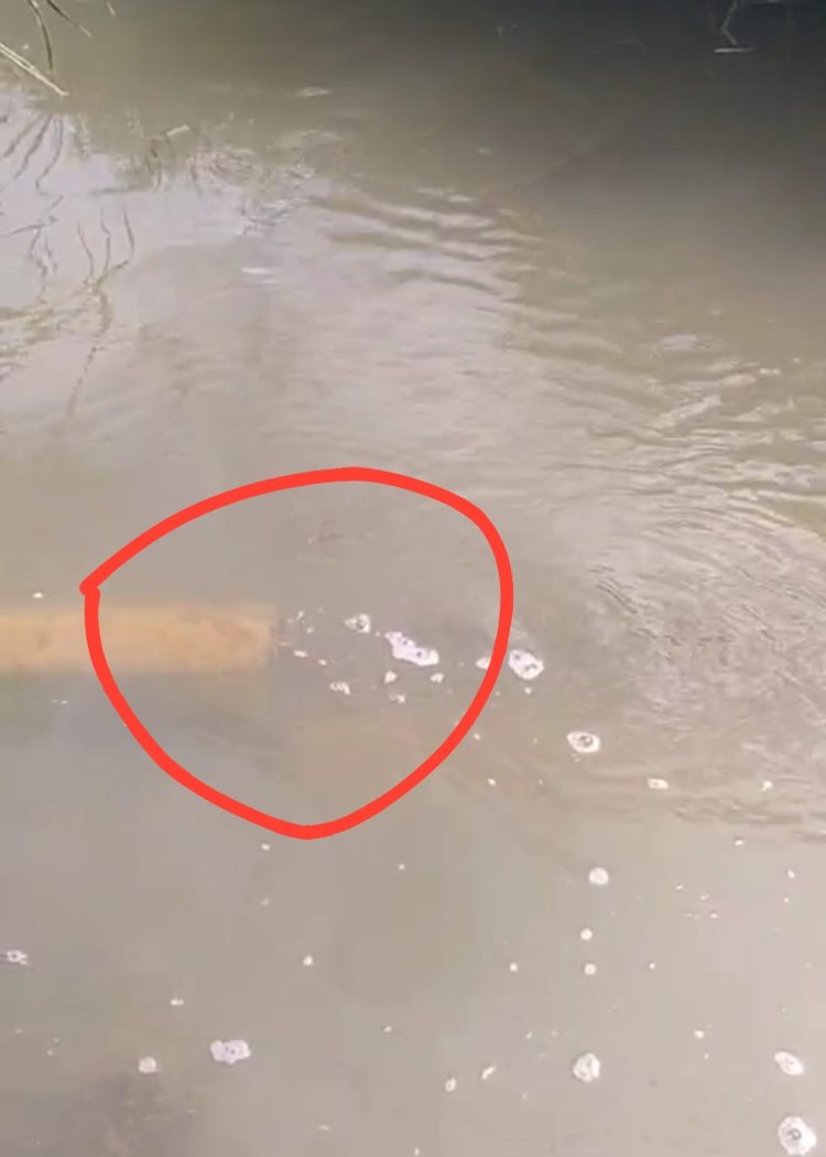 Warga Nanga Suruk Keluhkan Layanan PDAM, Bayar Lancar Air Tetap Tersendat