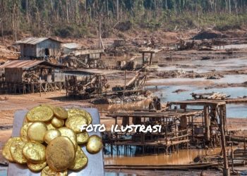 Diduga (AG) Koordinator PETI Sekaligus Bos Penampung Emas Ilegal di Semaong Sekadau Tak Tersentuh Hukum, Warga Minta Kapolda Kalbar Yang Baru Usut Tuntas